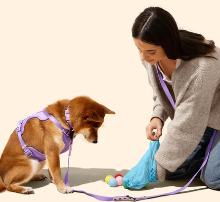 Show full view: THE LICKER STORE Extra Thick Leak Proof Poop Bags, Unscented, 540 count slide 2 of 8