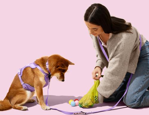 Show full view: THE LICKER STORE Extra Thick Leak Proof Environment-Friendly Poop Bags with Rechargeable LED Flashlight Dispenser, Unscented, 120 count slide 2 of 9