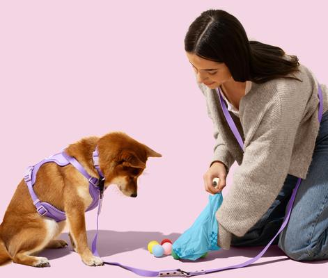 Show full view: THE LICKER STORE Extra Thick Leak Proof Poop Bags, Unscented, 300 count slide 2 of 8