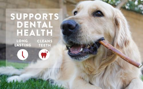 Show full view: Rewardables Premium 9-11 in Single-Ingredient Bully Stick Dog Chews, 6.25-oz bag slide 4 of 6