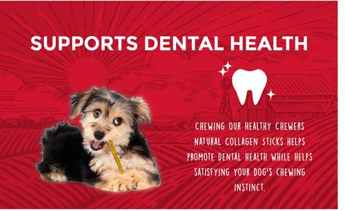 Show full view: Rewardables Healthy Chewers Natural Collagen & Beef Sticks High Protein Dog Chews, 21.1-oz bag, 100 count slide 4 of 6