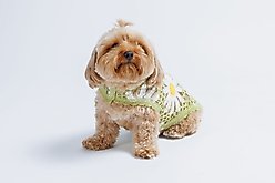 Both Tails Sunshine Crochet Dog Shirt, Large
