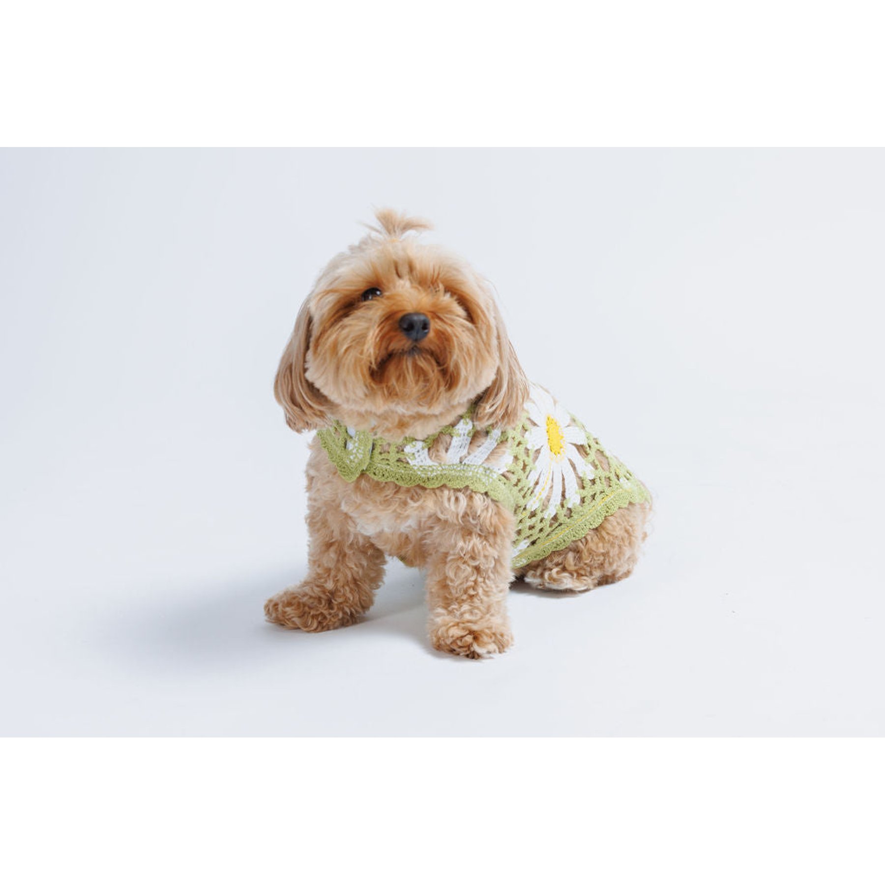 Both Tails Sunshine Crochet Dog Shirt, Small