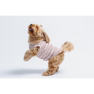 Both Tails Candy Cane Sleeveless Dog Sweater, Medium