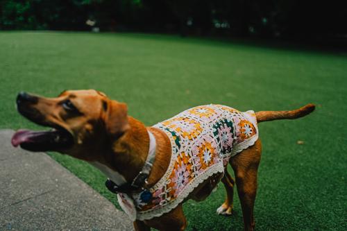 Show full view: Both Tails Bubblegum Crochet Shirt, Medium slide 9 of 9