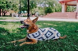 Both Tails Nazar Crochet Shirt, Small slide 2 of 7