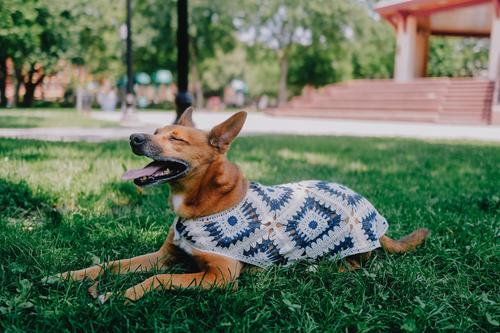 Show full view: Both Tails Nazar Crochet Shirt, X-Small slide 7 of 7