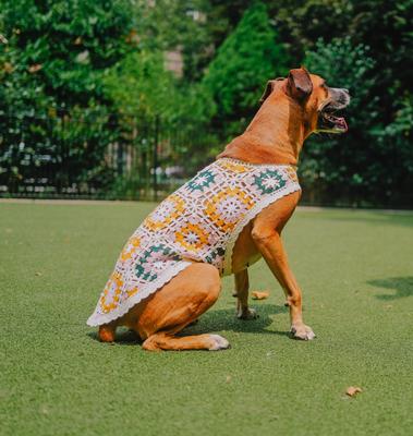 Show full view: Both Tails Bubblegum Crochet Shirt, Medium slide 7 of 9