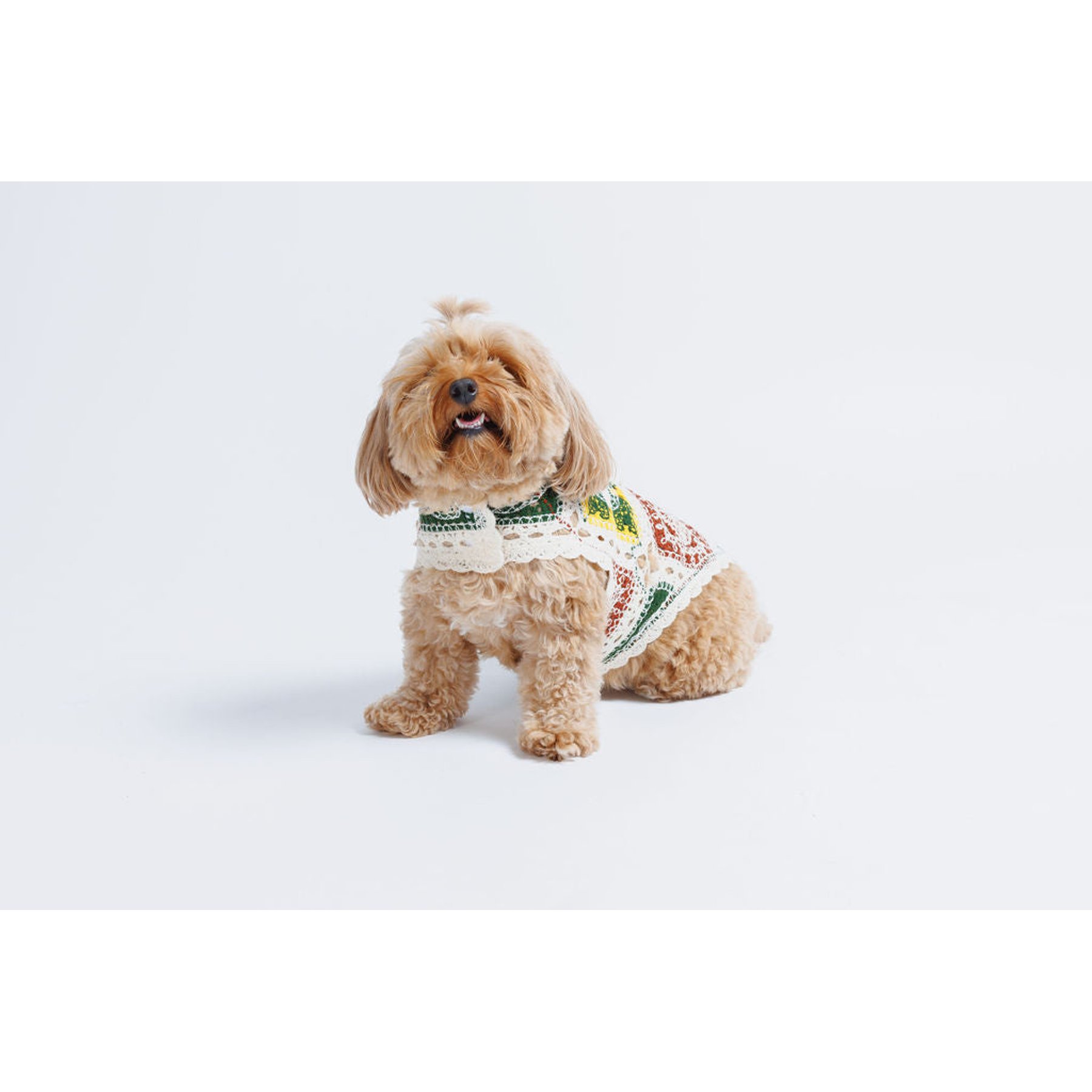 Both Tails Cherry Crochet Dog Shirt, Large
