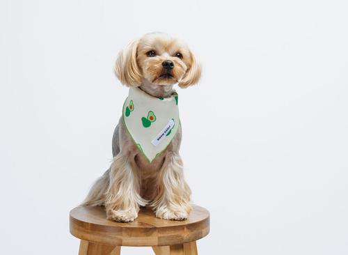 Show full view: Both Tails Avocado Dog Bandana, Small slide 3 of 4