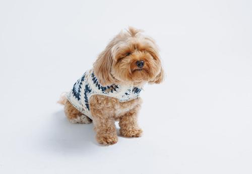 Show full view: Both Tails Nazar Crochet Shirt, X-Small slide 4 of 7