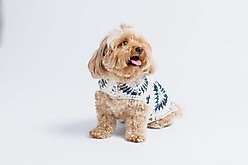 Both Tails Nazar Crochet Dog Shirt & Bandana, X-Large slide 2 of 6