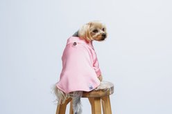 Both Tails Dog Pajamas, Pink, XX-Large slide 2 of 5