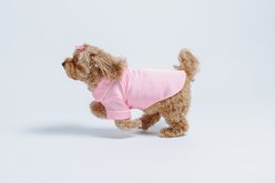 Both Tails Dog Pajamas, Pink, XX-Large