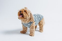 Both Tails Starry Night Sleeveless Dog Sweater, Small