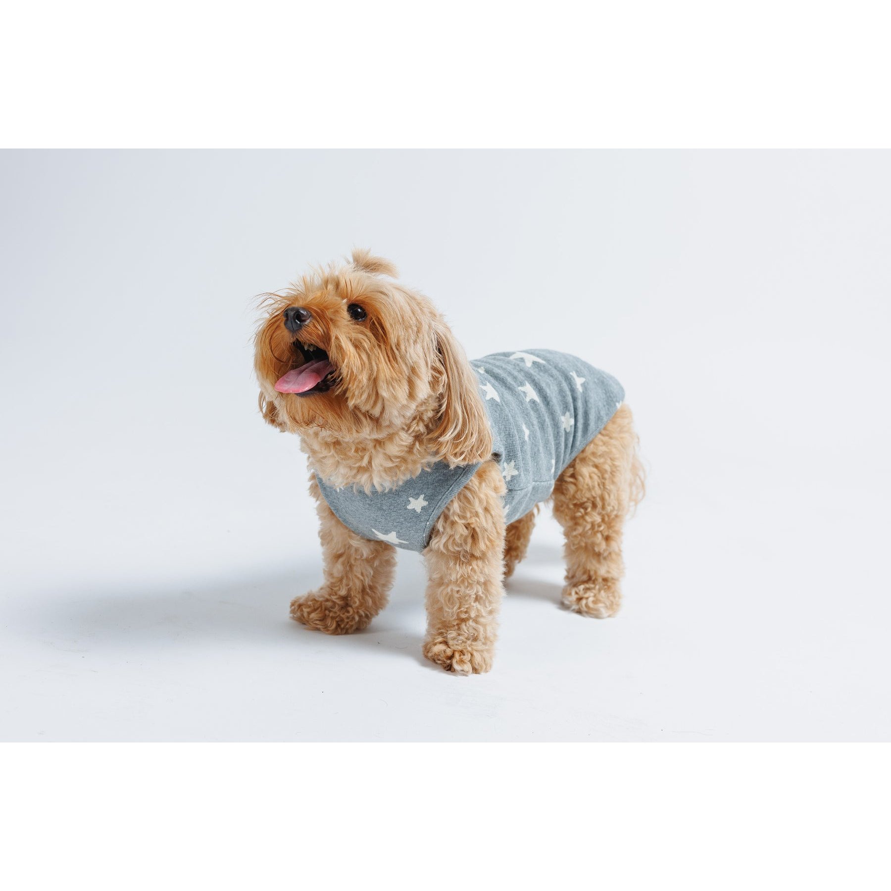 Both Tails Starry Night Sleeveless Dog Sweater, Grey, Large