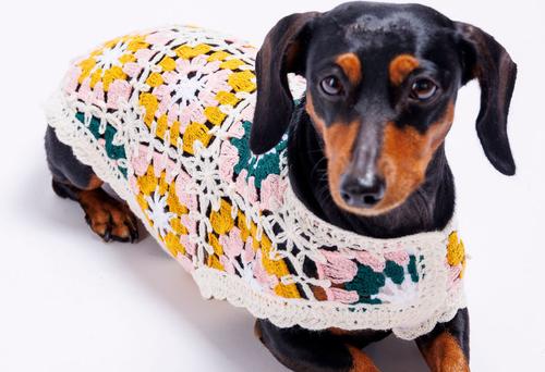Show full view: Both Tails Bubblegum Crochet Dog Shirt & Bandana, X-Small slide 6 of 6