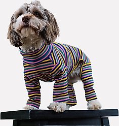 Both Tails Sunset Long Sleeve Dog Sweater, Large slide 2 of 3