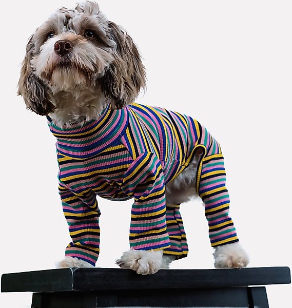 Show full view: Both Tails Sunset Long Sleeve Dog Sweater, X-Small slide 3 of 3