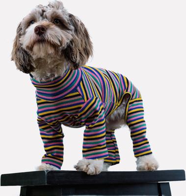 Show full view: Both Tails Sunset Long Sleeve Dog Sweater, Small slide 3 of 3