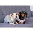 Show in main carousel: Both Tails Starry Night Sleeveless Dog Sweater, Small slide 5 of 6