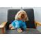 Show in main carousel: Both Tails Dog Pajamas, Blue, XX-Large slide 2 of 5