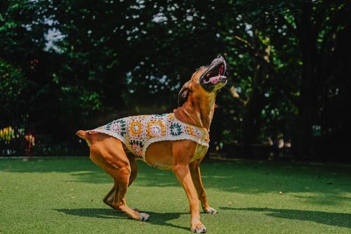 Show full view: Both Tails Bubblegum Crochet Shirt, Medium slide 8 of 9