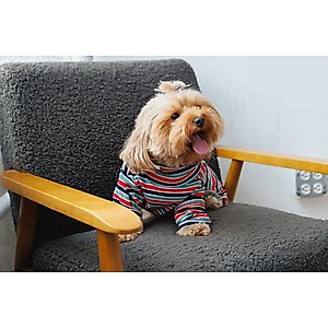 Both Tails Midnight Long Sleeve Dog Sweater, Medium