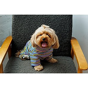 Both Tails Sunset Long Sleeve Dog Sweater, X-Small