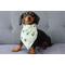 Show in main carousel: Both Tails Avocado Dog Bandana, Small slide 4 of 4