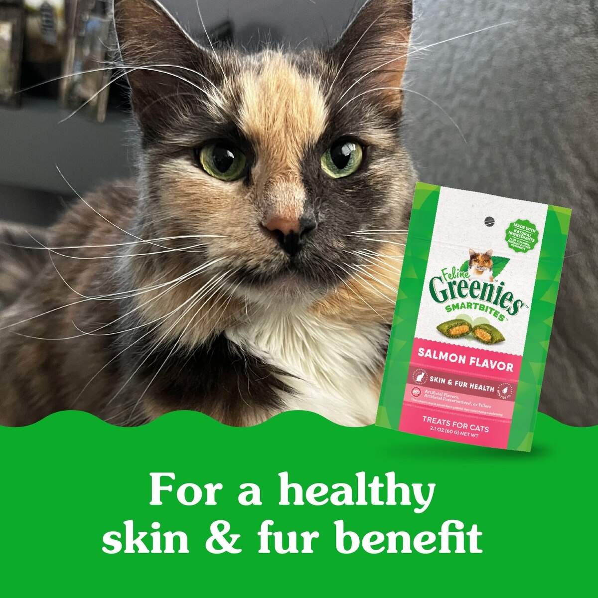 GREENIES Feline SmartBites Healthy Skin Fur Natural Salmon