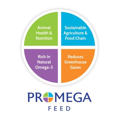 Show full view: Promega Feed FlaxPoultry 16% Protein Crumble Poultry Feed, 25-lb pail slide 9 of 9
