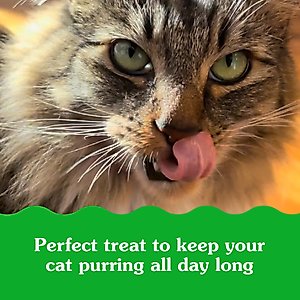 Greenies Feline SmartBites Healthy Skin & Fur Natural Salmon Flavor Soft & Crunchy Adult Cat Treats, 4.6-oz bag