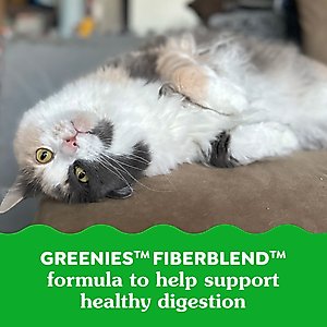Greenies Feline SmartBites Healthy Indoor Natural Chicken Flavor Soft & Crunchy Adult Cat Treats, 16-oz tub