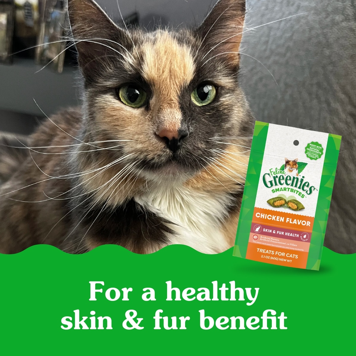 GREENIES Feline SmartBites Healthy Skin Fur Natural Chicken