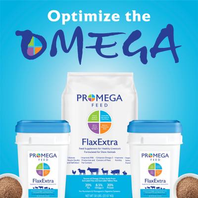 Show full view: Promega Feed FlaxExtra Farm Animal Feed Supplement, 25-lb pail slide 5 of 9