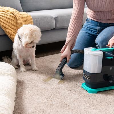 Show full view: IRIS 500264 Carpet Spot Cleaner Machine slide 3 of 8