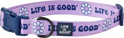 LIFE IS GOOD Groovy Daisy Dog Collar, Violet Purple, Small: 10 to 14-in neck, 5/8-in wide