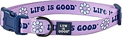 LIFE IS GOOD Groovy Daisy Dog Collar, Violet Purple, Medium: 12 to 18-in neck, 3/4-in wide