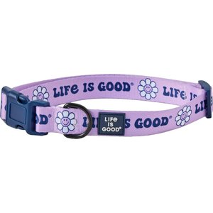 LIFE IS GOOD Groovy Daisy Dog Collar, Violet Purple, Medium: 12 to 18-in neck, 3/4-in wide