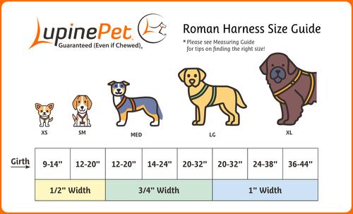 Show full view: LupinePet Waterproof BioThane Adjustable Dog Harness, Brick Red, Medium: 14 to 24-in chest, 3/4-in wide slide 4 of 8