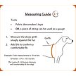 Show in main carousel: LupinePet Basic Solid Adjustable Dog Harness, Black, Medium: 14 to 24-in chest, 3/4-in wide slide 3 of 7
