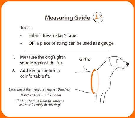 Show full view: LupinePet Waterproof BioThane Adjustable Dog Harness, Brick Red, Medium: 14 to 24-in chest, 3/4-in wide slide 5 of 8