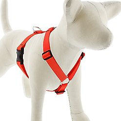 LupinePet Basic Solid Adjustable Dog Harness, Blaze Orange, Medium: 20 to 32-in chest