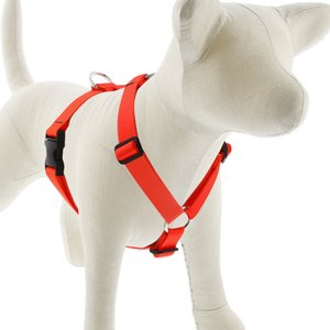 LupinePet Basic Solid Adjustable Dog Harness, Blaze Orange, Large: 24 to 38-in chest