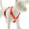 Show in main carousel: LupinePet Basic Solid Adjustable Dog Harness, Blaze Orange, Medium: 20 to 32-in chest slide 1 of 5