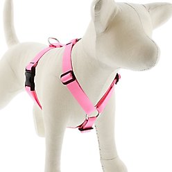LupinePet Basic Solid Adjustable Dog Harness, Pink, Large: 24 to 38-in chest