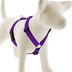 LupinePet Basic Solid Adjustable Dog Harness, Purple, Large: 24 to 38-in chest
