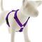 Show in main carousel: LupinePet Basic Solid Adjustable Dog Harness, Purple, Large: 24 to 38-in chest slide 1 of 5