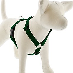 LupinePet Basic Solid Adjustable Dog Harness, Green, Medium: 20 to 32-in chest